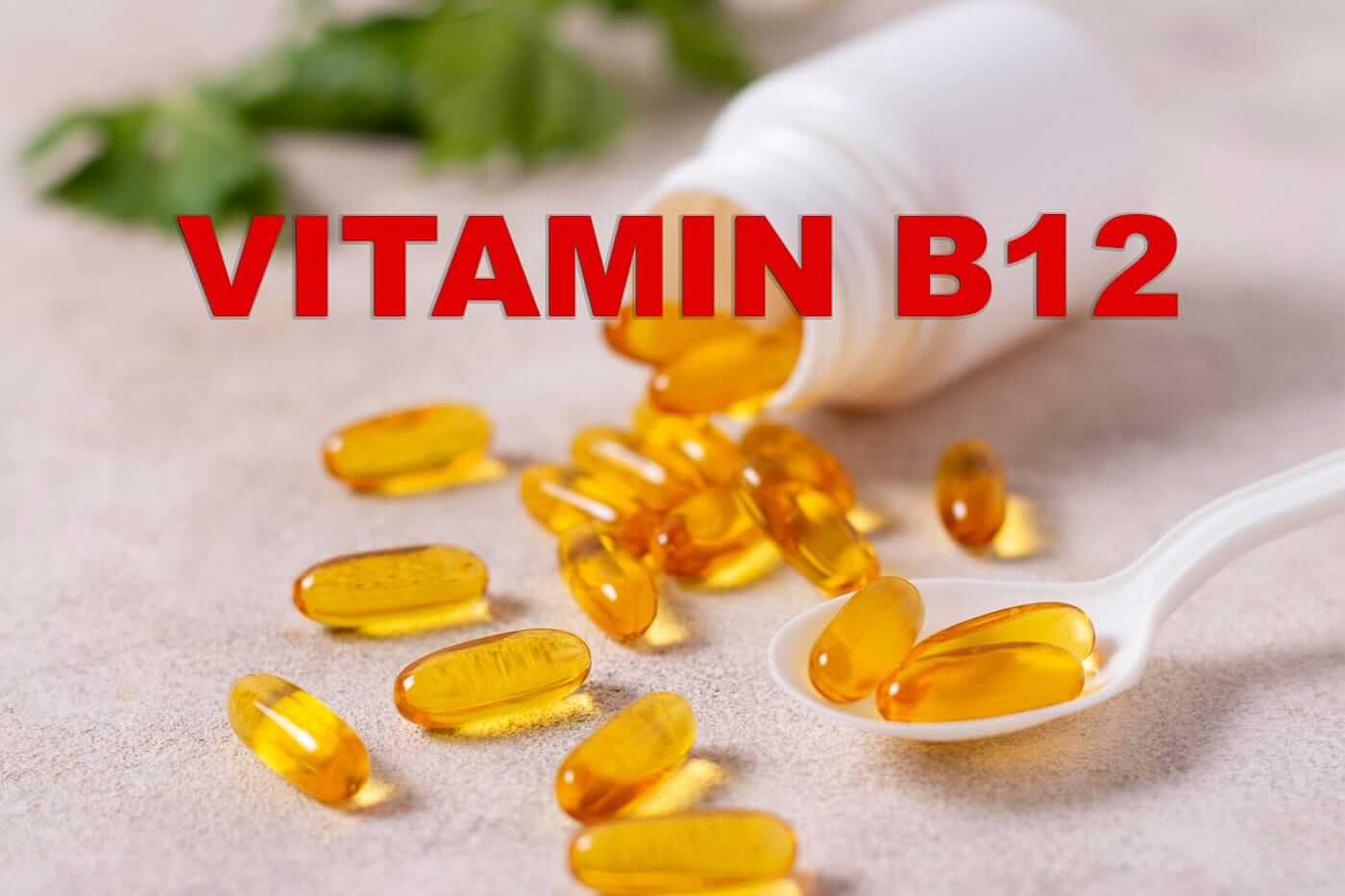 WellHealthOrganic Vitamin B12