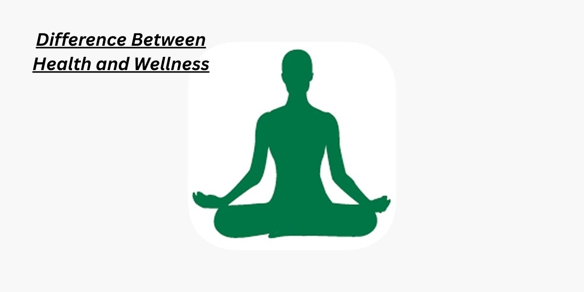 Powerful Key Insights on the Difference Between Health and Wellness