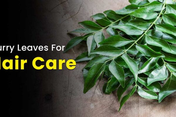 Curry Leaves Benefits for Hair: 9 Powerful Reasons Your Hair Needs Them