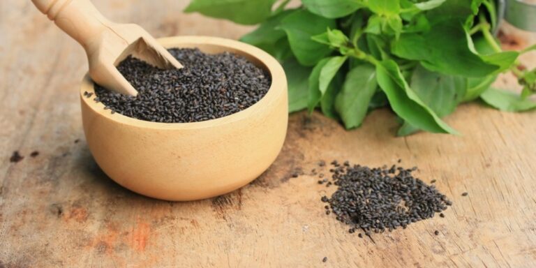 11 Sabja Seeds Benefits for Skin You Must Know